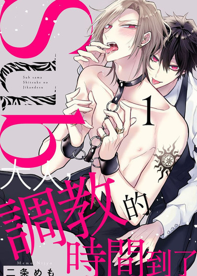 调教大师详细攻略漫画