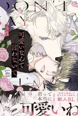 不要说我可爱 WB版漫画