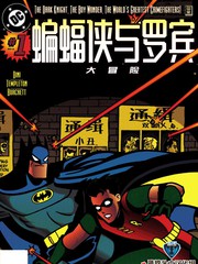 蝙蝠侠与罗宾简介漫画